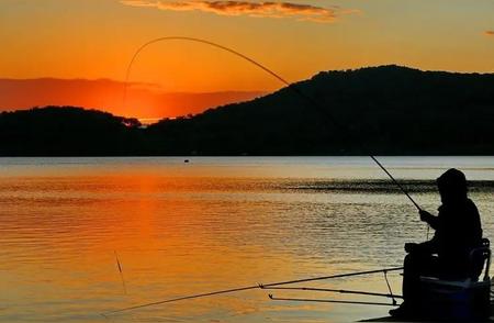 钓鱼技巧全解析：深秋时节，应对复杂水域的秘诀！