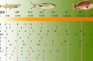钓鱼爱好者必备！详解鱼钩的种类及型号对比-上篇