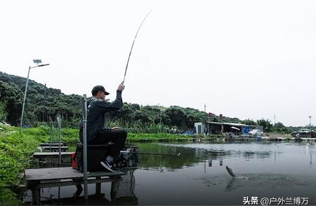 为何中国钓友对日本DAIWA达亿瓦渔具情有独钟？