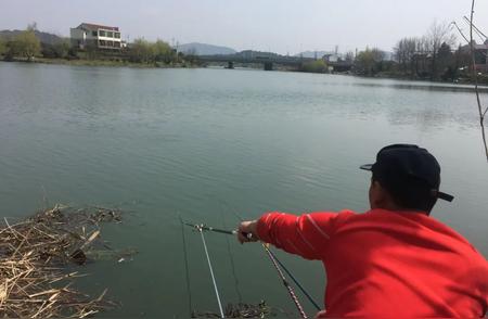 新手钓鱼初体验：如何选择合适尺寸的鱼竿？