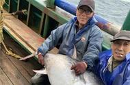 台州船老大捕获的巨鱼以8008元的价格拍卖